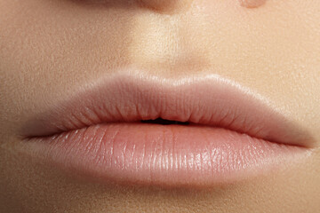 Fototapeta premium Perfect Natural Lip Makeup. Close Up Macro Photo with Perfect Clean Skin, Light Fresh Lip Make-up. Beautiful Spa Lips