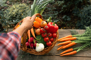 Farmer holding vegetables in a basket,  tomatoes, garlic, onion, carrot, pepper, radish, healthy...