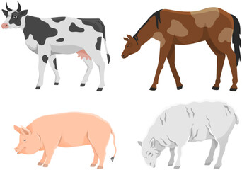 Set of domestic farm animals. Cow, horse, pig and ship, different mammals vector illustration. Farming, animal husbandry and breeding. Agricultural species of livestock isolated on white background