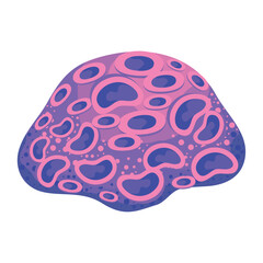 pink and purple coral reef