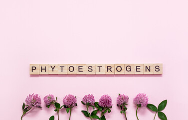 Word Phytoestrogens made up of wooden blocks with letters and Trifolium pratenser flowers. Red...