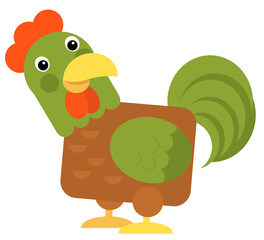 Cartoon funny bird chicken rooster isolated on white background - illustration for children