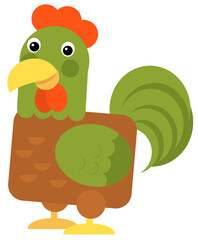 Cartoon funny bird chicken rooster isolated on white background - illustration for children
