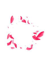 Delicate Petal Japanese Vector White Background.