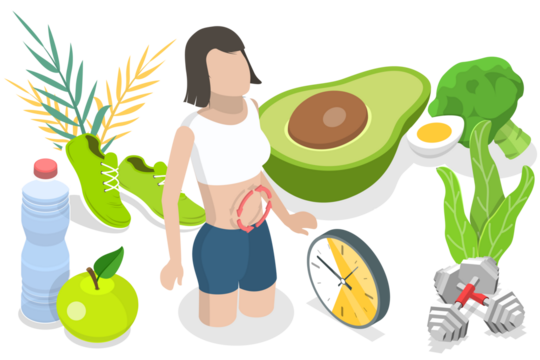 3D Isometric Flat  Conceptual Illustration of Metabolism of Human Body.