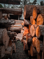 stack of firewood