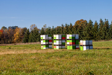Row of clorful bee hive boxes in a Wisconsin field