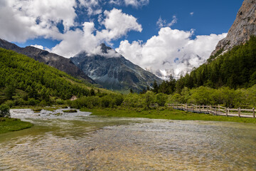 Fototapeta na wymiar Nature landscape river in pine forest mountain valley, Snow Mountain is in Daocheng Yading, Sichuan, China. Clouds in the blue sky, copy space for text