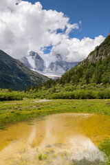 Beautiful yellow river and summer landscape of Daocheng Yading National Park, Sichuan, China.