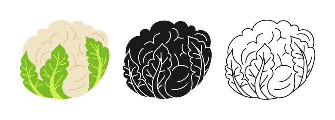 Cauliflower cartoon linear symbol set, doodle style, engraving silhouette. Fresh cabbage vegetable icon healthy food design. Harvest agricultural vegetarian nutrition kitchen, farm market vector