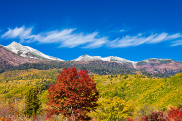 Fototapeta na wymiar autumn landscape in the mountains