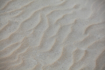 Fototapeta na wymiar 해변의 모래