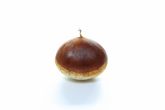 360_F_537407244_jrnGK1NDyjDfKR4E2bMPaNzK