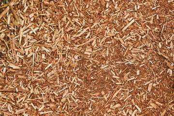 一面のおがくず
