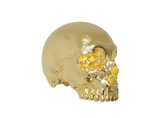 Gold skull
