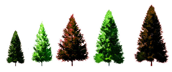Fototapeta premium tree silhouettes isolated transparent background evergreen PNG red and green hints Christmas coniferous
