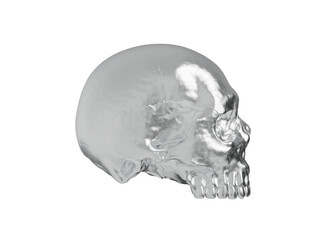 Metal skull