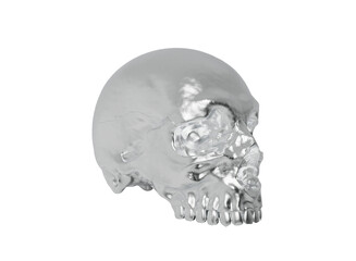 Metal skull
