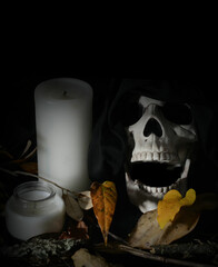 A decorative human skull on a black background, surrounded by dead leaves and unlit candles.