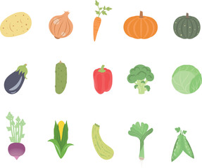 multi-season vector vegetables set, turnip, leek, potato, cabbage, cucumber, pepper, squash, kabocha squash, onion, eggplant, carrot, corn, zucchini, pea and broccoli.