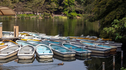 Fototapeta na wymiar 公園の池のボート