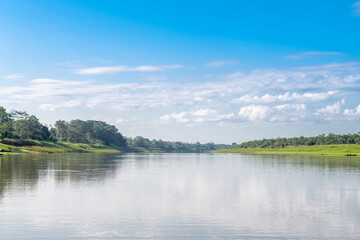 Obraz na płótnie Canvas riverbank view of peruvian amazonian jungle 