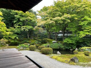 japanese garden in spring