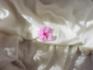 Obraz na płótnie Canvas Tapak dara flower on fabric