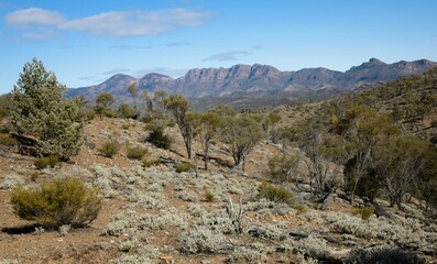 landscape in the mountains