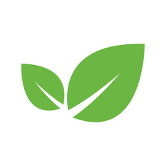 leaf icon vector design template in white background