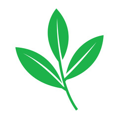 leaf icon vector design template in white background