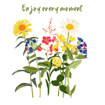 Enjoy every moment slogan and bouquet of field flowers, vector drawing wild plants at white background, flowering meadow print, hand drawn botanical illustration