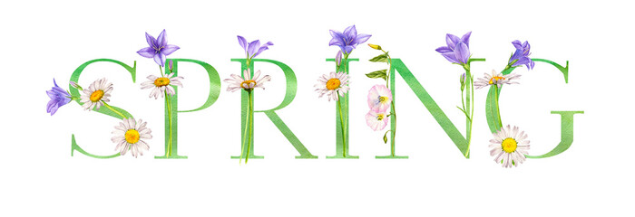 watercolor drawing lettering spring with flowers, hand drawn illustration