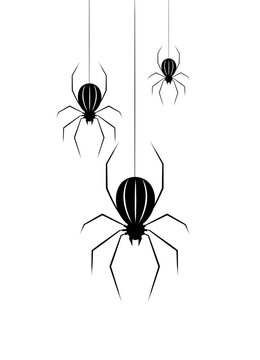 3D Rendering Black spider graphic isolate