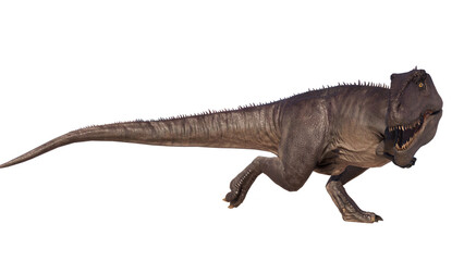 Giganotosaurus dinosaur running and roaring on a blank background PNG