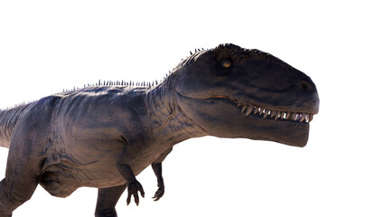 Giganotosaurus dinosaur running and roaring on a blank background PNG