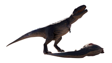 Giganotosaurus dinosaur eats meat and roars on a blank background PNG