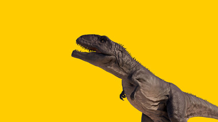 Carnivorous and roaring Giganotosaurus dinosaur isolated on yellow blank background