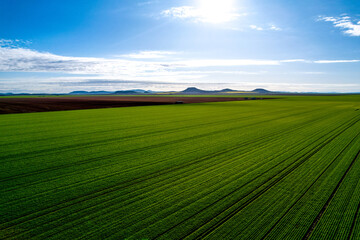 Liverpool Plains farmland © Wolf