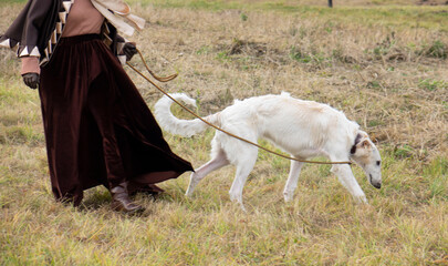A woman dressed in a historical costume, with an Afghan greyhound.
