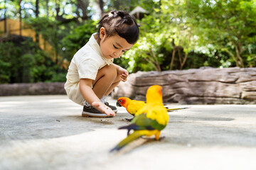 Asian little girl feeding birds on a hand in the park. - obrazy, fototapety, plakaty