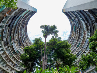 Fototapeta na wymiar Kaohsiung,Taiwan -June 22 : Guomao Community facade on June 22,2022 in Kaohsiung, Taiwan.It's one of the 25 military dependents’ villages and circular,arc-shaped architecture.