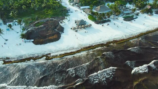 Aerial view Tulum with sargasso, Brown sea, pollution sea