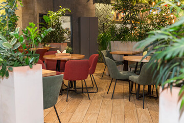 Cozy cafe interior without visitors. Modern design with large plants and wooden tables.