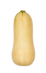 butternut squash or butternut pumpkin or gramma isolated on white background. winter autumn...