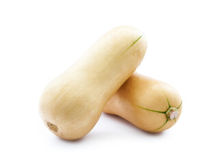 butternut squash or butternut pumpkin or gramma isolated on white background. winter autumn...