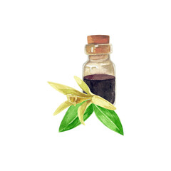 Vanilla extract with flower and leaves. Watercolor illustration.