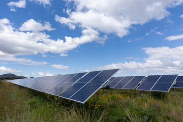 Solar panels in the green fields under the bright sun