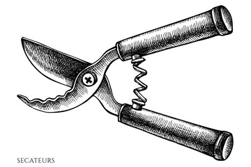Gardening vintage vector illustrations collection. Black and white secateurs.