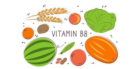 Vitamin B8 Inositol. Groups of healthy products containing vitamins. Set of fruits, vegetables, meats, fish and dairy